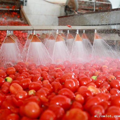 食品开云娱乐官网首页网址 vs 胶囊粘度计：食品与制药行业的核心对比